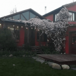 Capa Alquiler Patagonica El Calafate Santa Cruz